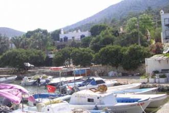 turkish_painting_holidays_ (127)