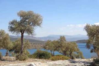 turkish_painting_holidays_ (133)