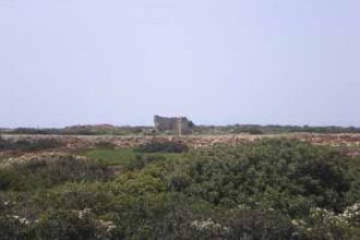 turkish_painting_holidays_ (163)