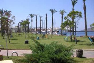 turkish_painting_holidays_ (193)