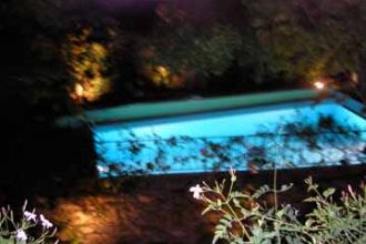 turkish_painting_holidays_ (232)