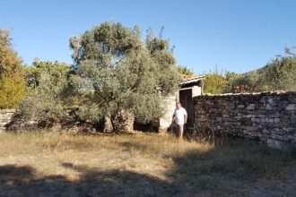 turkish painting holidays different holidays ideas (610)