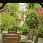garden from pergola