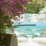 swimming pool landscape